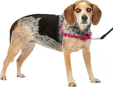 PetSafe Easy Walk No-Pull Dog Harness - The Ultimate Harness to Help Stop Pulling - Take Control &amp; Teach Better Leash Manners - Helps Prevent Pets Pulling on Walks, Small/Medium, Raspberry/Gray