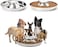 通用 2 Pack Dog Bowl Puppy Slow Feeder Bowls for Food Feeding &amp; Water Weaning Non-Skid Slow Feeder Silver Stainless Steel Healthy Metal Dog Bowl Dish for Small Medium Large Dog Cat Pet