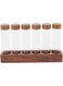 Coffee Bean Storage Jar, Transparent Glass Compact Easy Access Coffee Bean Storage Tubes for Kitchen (Single Row 6 Holes)