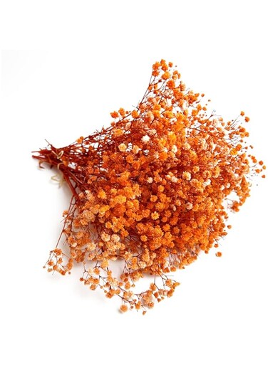 Birtlynn Preserved Baby's Breath 3 Bunches, 100% Natrual Fresh Gypsophila Long Lasting Flowers for Vase Arrangements Home Decoration Photo Props Parties and Weddings, DIY D&eacute;cor-Orange