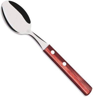 Tramontina Since 1911, Made In Brazil Stainless Steel Table Spoon With Red Treated Polywood Handle