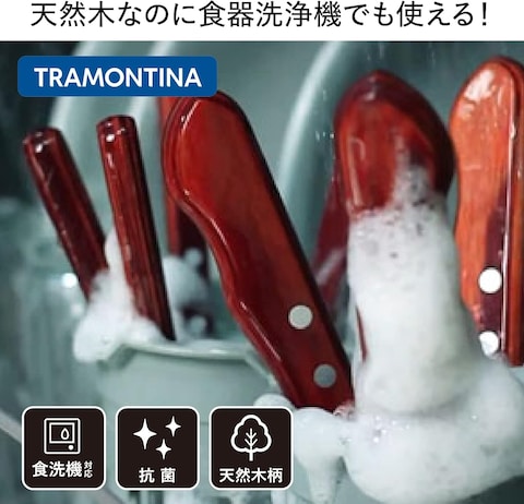Tramontina Since 1911, Made In Brazil Stainless Steel Dessert Spoon With Treated Brown Polywood Handle