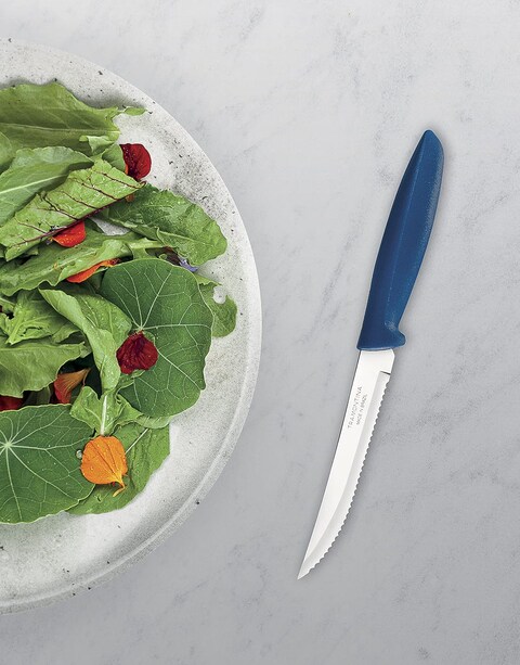 Tramontina Plenus 6 Pieces Steak And Fruit Knife Set With Stainless Steel Blades And Blue Polypropylene Handles