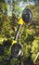 Tramontina ABS Injected Flexible Glass Remover