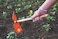 Tramontina Since 1911, Made In Brazil One-Prong Weeding Hoe With 60Cm Wood Handle