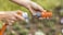 Tramontina Since 1911, Made In Brazil Plastic Quick Connector For 1/2-Inch Hoses