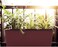 Tramontina Since 1911, Made In Brazil 10.5L Brown Polypropylene Triple Self-Watering Planter