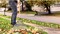 Tramontina 22 Metalic Flat Wire Teeth With Black Polypropylene Garden Leaf Rake And 120cm Varnished-finish Wood Handle