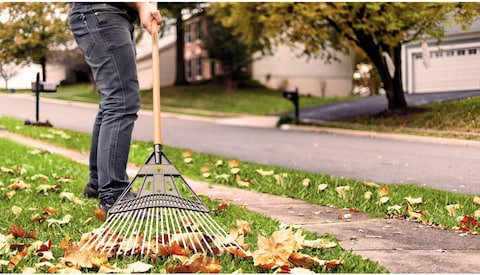 Tramontina 22 Metalic Flat Wire Teeth With Black Polypropylene Garden Leaf Rake And 120cm Varnished-finish Wood Handle