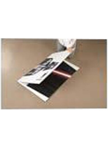 BPA Cut Out of David Cameron Tories