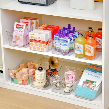 Multiuse Clear Plastic Storage Bin for Organizing - Home, Kitchen, Bathroom, Office, Pantry Cabinet Shelf Organizer Bins - SOHO Collection, RV, Fridge Organization Containers - 25 cm Length x 17 cm Width x 10 cm Height - Pack of 1
