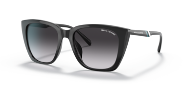 Armani Exchange AX4116SU Women's Sunglasses