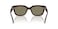Armani Exchange AX4155SU Women's Sunglasses