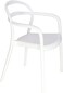 Tramontina Since 1911, Made In Brazil Sissi White Polypropylene And Fiberglass Chair With Armrests