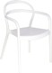 Tramontina Since 1911, Made In Brazil Sissi White Polypropylene And Fiberglass Chair With Armrests