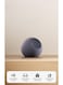 Echo Dot Max smart speaker-Black