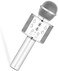 Limitless Wireless Karaoke Microphone with Bluetooth &amp; Voice Effects &ndash; Noise Reduction, Sound, Fun for Kids &ndash; Portable Karaoke Machine with 4 Sound Modes &amp; 360&deg; Surround Sound-Silver