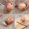 4 Pieces Fruit Core Remover, Multi Function Fruit Corer, Apple Core Easy Grip, Serrated Fruit Core Remover Tool, Stainless Steel, for a Variety of Fruits for Home and Kitchen