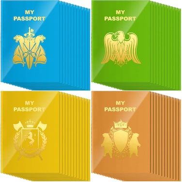Lincia 48 Pcs Blank Fake Passport Notebook Coloring Book,Bright Color