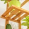 Plant Stand 6 Tier - Solid Wood Flower Rack Balcony Fleshy Simple Modern Living Room Indoor Outdoor Balcony