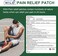 WILD+ Pain Relief Patches 20 Patches, Warming Herbal Knee Plaster, Long Lasting Knee Patches for Pain Relie
