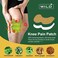 WILD+ Pain Relief Patches 20 Patches, Warming Herbal Knee Plaster, Long Lasting Knee Patches for Pain Relie
