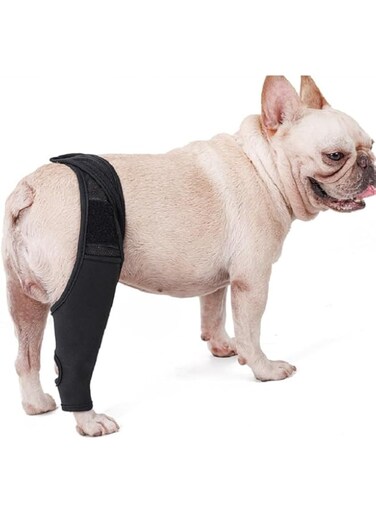 Dog Knee Brace for ACL, Knee Cap Dislocation, Arthritis - Full Wrap - Easy Adjustable - Extra Support - Reduces Pain and Inflammation (Black, L)