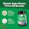 Natures Craft Prebiotics And Probiotics Gut Health Supplement - Super Potent Digestive Health Acidophilus Probiotic Capsules With Men And Womens Probiotics And Prebiotics For Colon Digestive Support