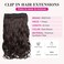 REECHO 20" 1-pack 3/4 Full Head Curly Wave Clips in on Synthetic Hair Extensions Hair pieces for Women 5 Clips 4.6 Oz Per Piece - Dark brown