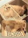 Pado Igloo Cat Litter Box  57.5*44*44Cm-Grey