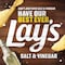Lay&rsquo;s Salt And Vinegar Potato Chips 45g