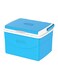 Keep Cold Plastic Picnic Cooler Icebox Lunchbox Blue 10.0Liters