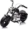 Lovely Baby Multi-features Motorbike for kids LB 1058 Electric Motorbike w/ suspension, 36V Battery, Disc Brakes, and Leather Seat, Recommended for 10yr + - Black