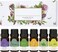 Essential Oils Set 6x10mL Aromatherapy Starter Kit for Diffusers, Lavender Eucalyptus Lemongrass Tea Tree Orange Peppermint Gift Set for Home Relaxation