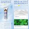 Whitening Toothpaste for Smoke &amp; Coffee Stain Removal &ndash; Enamel Repair, Fresh Breath &amp; Strong Teeth Protection for Daily Use