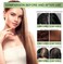 Herbal Hair Oil for Growth &amp; Scalp Care &ndash; Multi-Herb Infused Oil for Anti Hair Fall, Dandruff Control &amp; Stronger, Healthier Hair