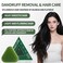 Herbal Shampoo Soap Bar for Hair &amp; Scalp &ndash; Oil Control, Dandruff Removal &amp; Hair Fixing Solid Shampoo with Natural Plant Extracts
