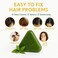 Herbal Shampoo Soap Bar for Hair &amp; Scalp &ndash; Oil Control, Dandruff Removal &amp; Hair Fixing Solid Shampoo with Natural Plant Extracts