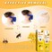Bee Venom Skin Care Spray &ndash; Targeted Skin Smoothing Treatment for Blemish-Prone Areas, Lightweight Skin Renewal &amp; Care Solution, 20ml
