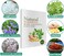 Deep Cleansing Detox Foot Pads &ndash; Bamboo &amp; Ginger Extract Pads for Foot Relaxation, Overnight Comfort &amp; Wellness Support, 16 Pcs