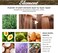 Rosemary Hair Growth Oil 60ml &ndash; Natural Organic Scalp Treatment for Dry Damaged Hair, Hair Strengthening &amp; Nourishing Oil for Thicker Growth