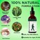 Herbal Body Massage Oil for Growth Support, Moisturizing Bone &amp; Muscle Care Oil for Teens &amp; Adults, Daily Wellness Oil