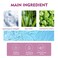Hydrolyzed Collagen Neck Cream, Firming &amp; Tightening Neck Care Cream, Anti-Aging Moisturizer for Sagging Skin &amp; Wrinkle Care