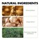 Natural Plant-Based Bubble Hair Color Shampoo for Grey Hair Coverage, Herbal Hair Dye Shampoo for Soft Color &amp; Shine, Gentle Hair Care Formula