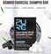 Grey Hair Color Darkening Stick Shampoo Set (2 PCS), Natural Hair Color Enhancing Shampoo for Grey Coverage, Hair Tone Revitalizing Care Stick for Men &amp; Women