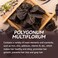 Hair Darkening Shampoo Bar Set (2 PCS), Herbal Black Hair Soap for Grey Hair Coverage, Natural Shouwu Shampoo Bar for Hair Color Enhancement &amp; Daily Hair Care