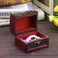 Wooden Jewelry Storage Box Organizer, Elegant Necklace and Bracelet Case Chest, Classic Jewelry Display and Storage Holder for Home and Shop