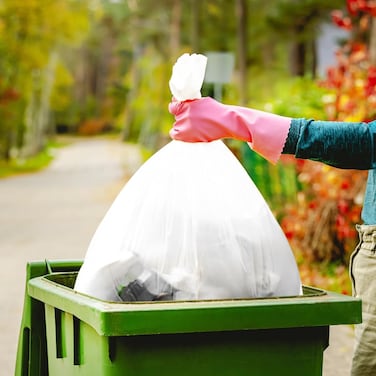 40 Count Biodegradable Garbage Bags, 2 Gallon X-Small Eco Friendly Trash Liners, Kitchen Bathroom Small Bin Bags (2 Pack Bundle)