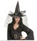 Witch Hats With Tulle, Flower &amp; Feathers