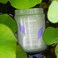 Echosline No Yellow Hair Mask   1000ML